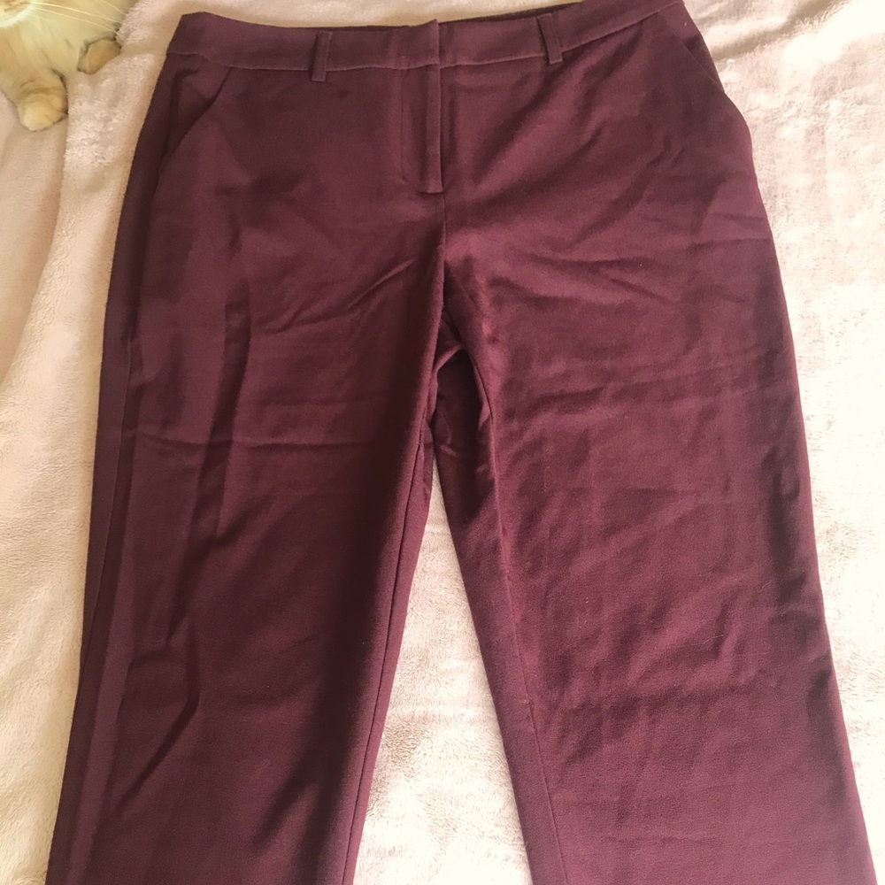 Forever 21 pants NWT size Small